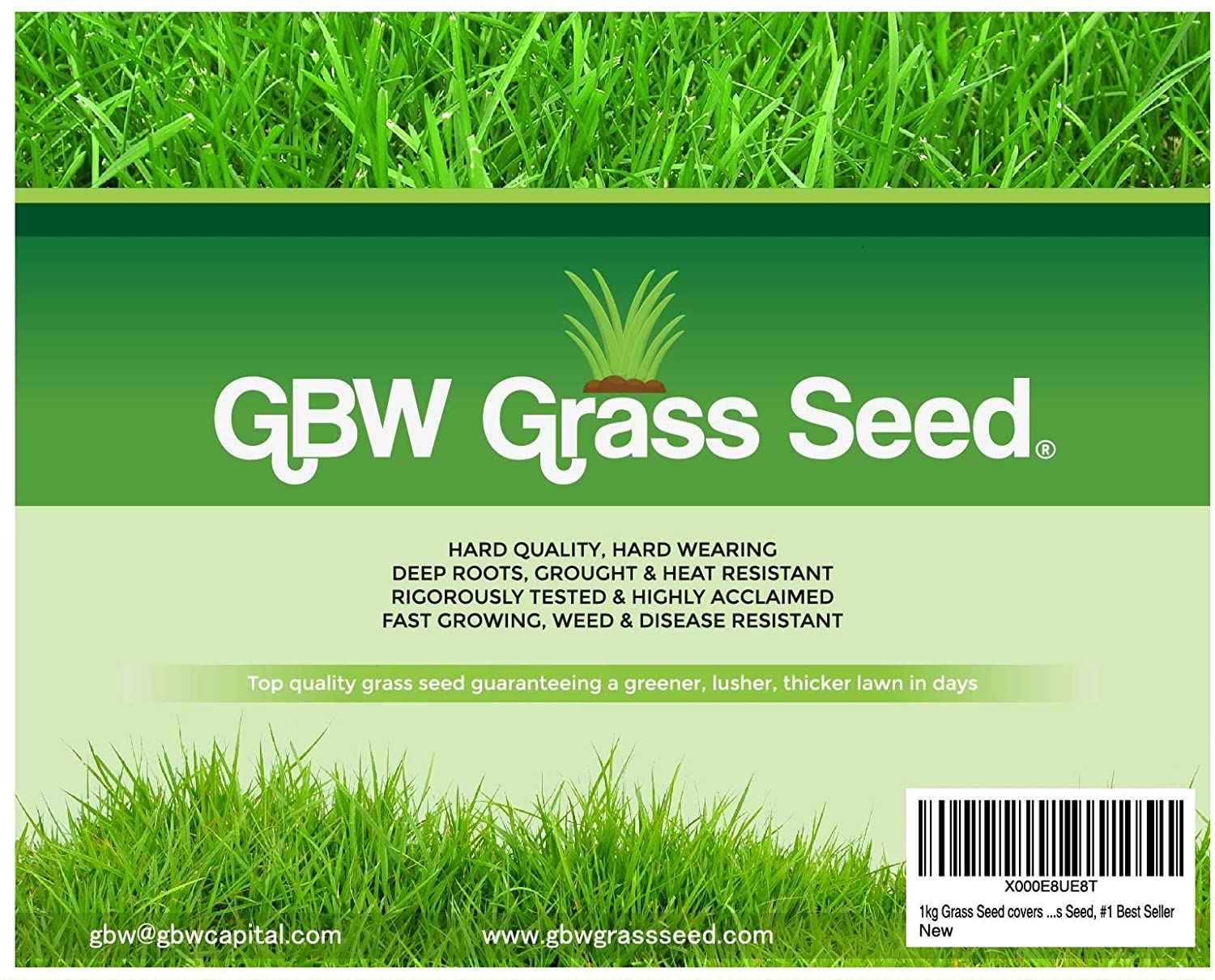 Best Grass Seed In 2024 (UK Reviews) Garden Yard