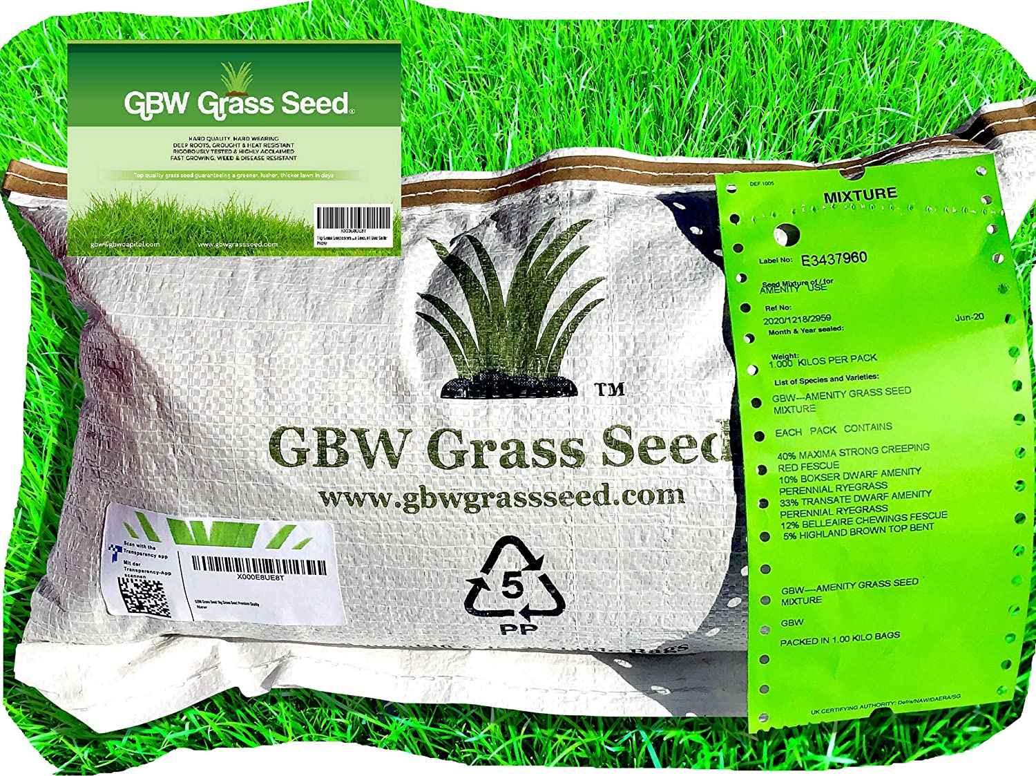 Best Grass Seed In 2024 (UK Reviews) Garden Yard