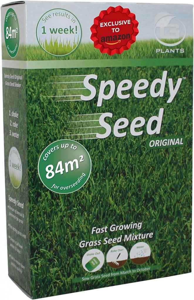 best grass seed