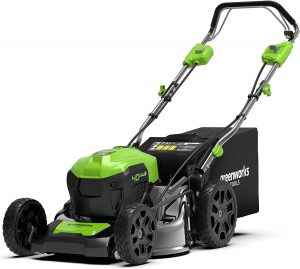 Greenworks GD40LM46SP Cordless Lawn Mower
