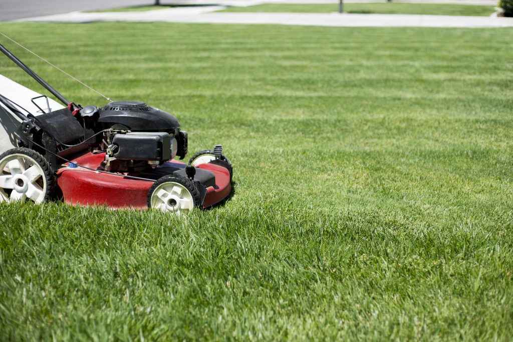 How To Mow