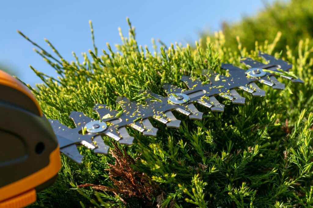 Sharpening Hedge Trimmers